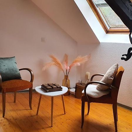 Loft Gaia Brunstatt-Didenheim Exterior foto